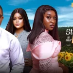 Download The Stranger In Our Lives (2023) [Nollywood] Movie Mp4